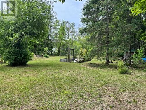 80 Concession 8 Road E, Tiny, ON - Outdoor