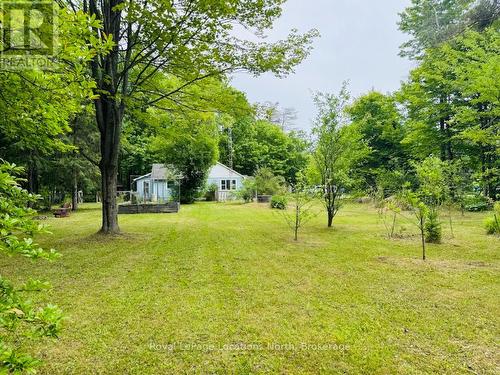 80 Concession 8 Road E, Tiny, ON - Outdoor