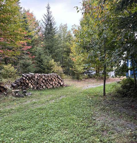 Boisé - 193 Ch. Tawachiche E., Lac-Aux-Sables, QC - Outdoor