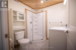 Lower level bathroom - 