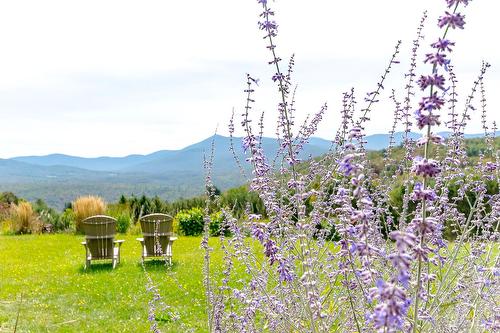 View - 2256 Ch. Scenic, Sutton, QC - Outdoor With View