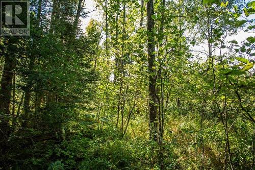 5Th Concession Rd, Bruce Mines, Township Of Plummer Additional, ON 