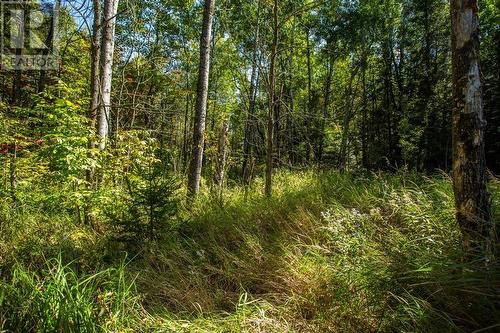 5Th Concession Rd, Bruce Mines, Township Of Plummer Additional, ON 