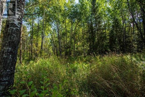 5Th Concession Rd, Bruce Mines, Township Of Plummer Additional, ON 