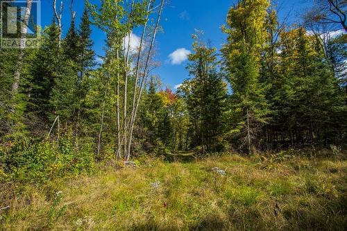 Gordon Lake Road And Carter Side Road Part 1, Johnson, ON 