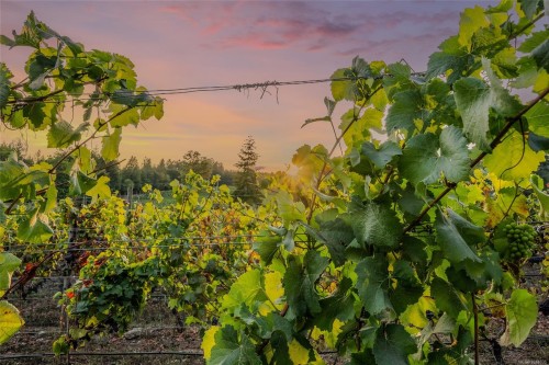 6552 North Rd, Duncan, BC 