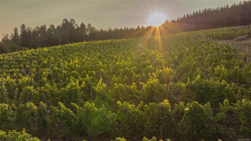 6552 North Rd, Duncan, BC 