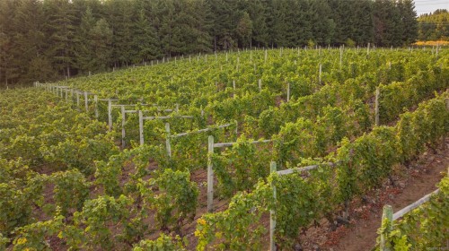 6552 North Rd, Duncan, BC 