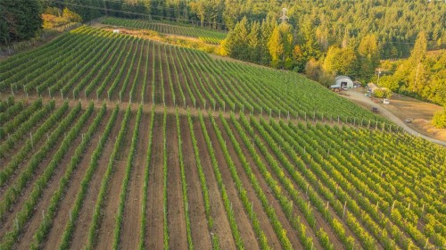 6552 North Rd, Duncan, BC 