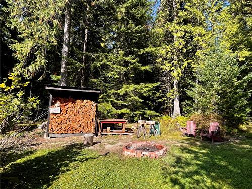 785 Beech Road, Nakusp, BC - Outdoor