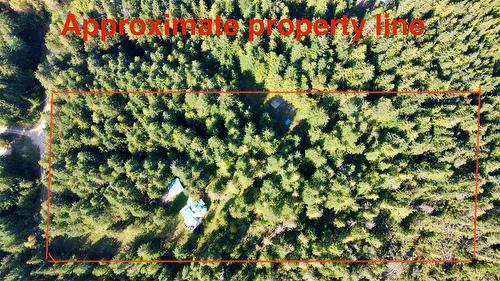 785 Beech Road, Nakusp, BC - Outdoor