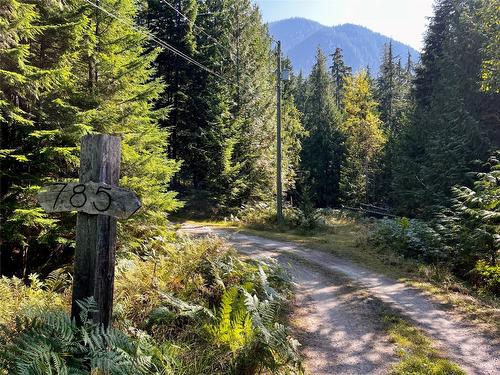 785 Beech Road, Nakusp, BC - Outdoor With View