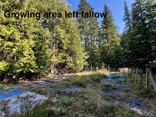 785 Beech Road, Nakusp, BC - Outdoor