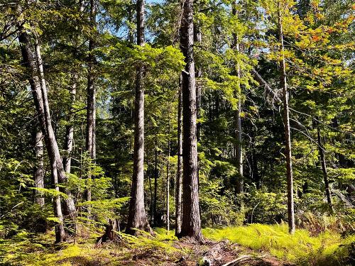 785 Beech Road, Nakusp, BC - Outdoor