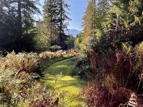 785 Beech Road, Nakusp, BC - Outdoor With View