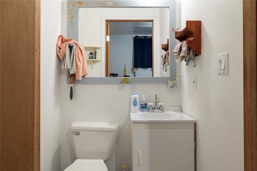 1440 Trinity Valley Road, Lumby, BC - Indoor Photo Showing Bathroom