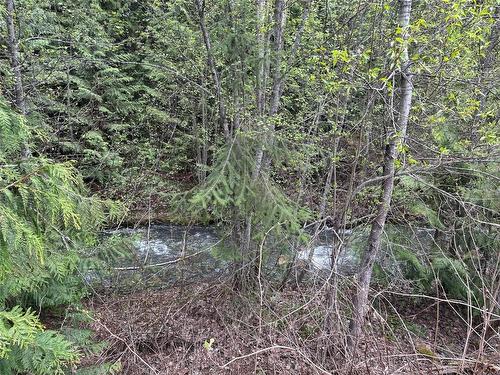 1440 Trinity Valley Road, Lumby, BC - Outdoor