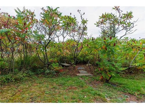 498 Chartersville Rd, Dieppe, NB 