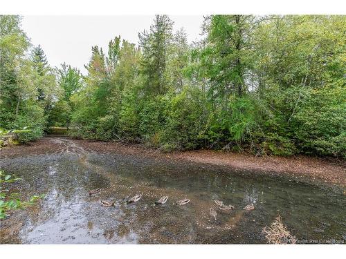 498 Chartersville Rd, Dieppe, NB 