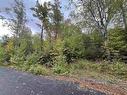 Lot A-7 Russells Cove Road, Parkdale, NS 