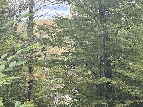Lot A-7 Russells Cove Road, Parkdale, NS 