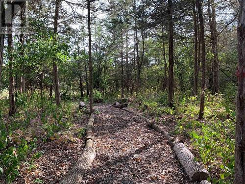 1714 County Rd 9, Greater Napanee (Greater Napanee), ON - Outdoor