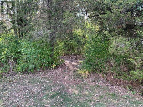 1714 County Rd 9, Greater Napanee (Greater Napanee), ON - Outdoor