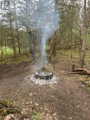 1714 County Rd 9, Greater Napanee (Greater Napanee), ON - Outdoor With View