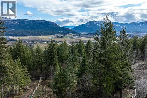 249 Twin Lakes Road, Enderby, BC - Outdoor With View