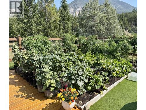 Vegetable garden area-backyard - Pad #14 - 5174 Lambert Road, Invermere, BC 