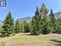 View from backyard - Pad #14 - 5174 Lambert Road, Invermere, BC 