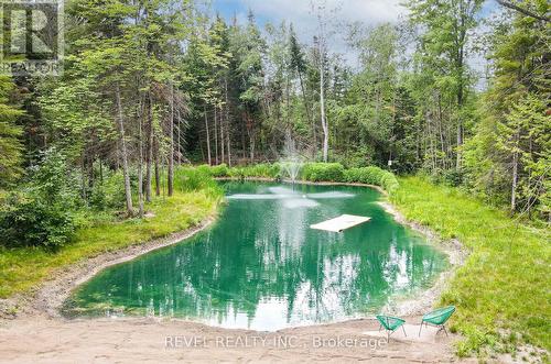 99 Kagawong Road, Kawartha Lakes (Fenelon), ON - Outdoor With Body Of Water