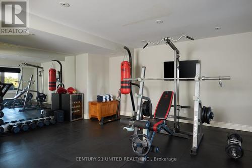 7 Maplehill Drive, Cavan Monaghan (Cavan-Monaghan), ON - Indoor Photo Showing Gym Room