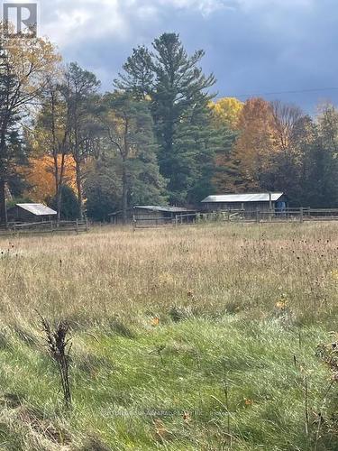 7574 White Road, Clarington, ON - Outdoor With View