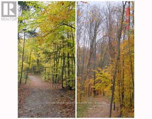 38 Hurst Drive, Barrie, ON - Outdoor With View