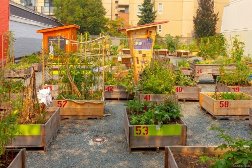 809-1630 Quadra St, Victoria, BC - Outdoor