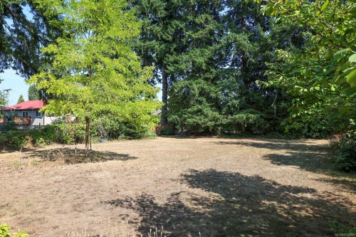 1185 5Th St, Courtenay, BC 