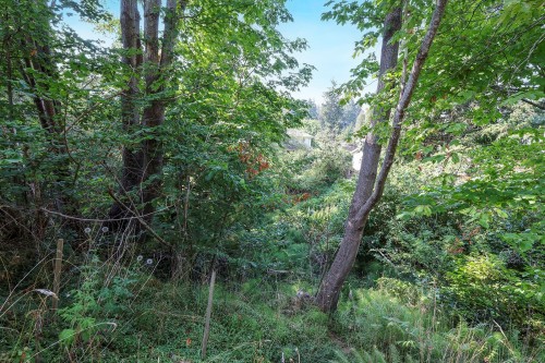 1185 5Th St, Courtenay, BC 