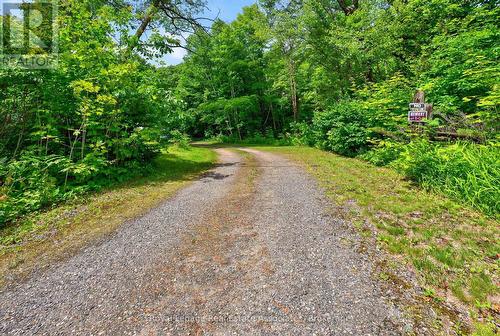 17377 35 Highway, Algonquin Highlands, ON - Outdoor