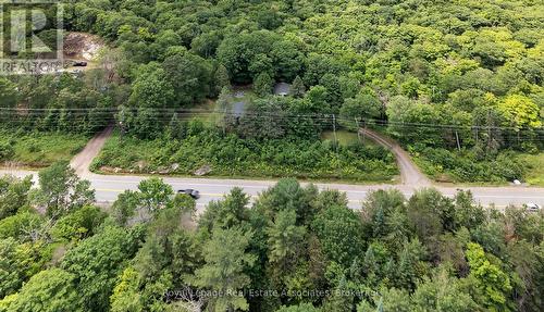 17377 35 Highway, Algonquin Highlands, ON - Outdoor With View