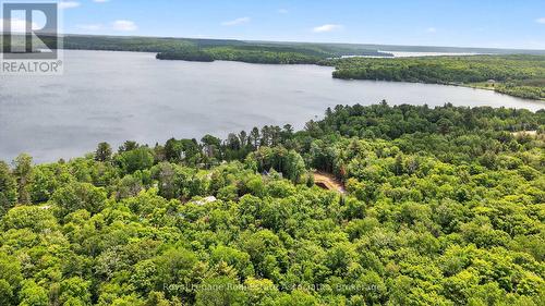 17377 35 Highway, Algonquin Highlands, ON - Outdoor With Body Of Water With View