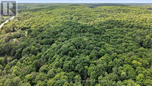 17377 35 Highway, Algonquin Highlands, ON - Outdoor With View