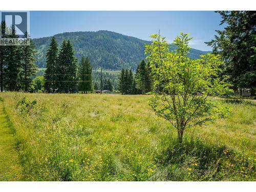 2645 Shoreacres Road, Castlegar, BC - Outdoor With View