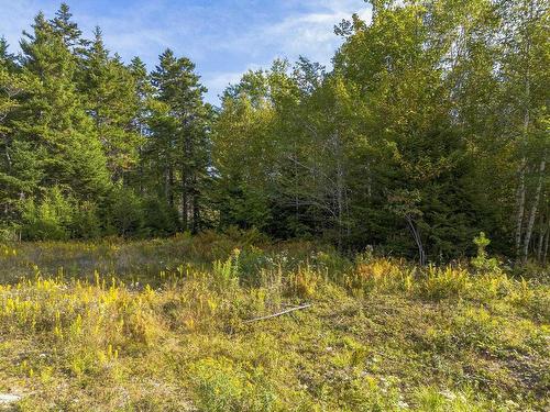 Lot 3 Chandlers Way, Hectanooga, NS 