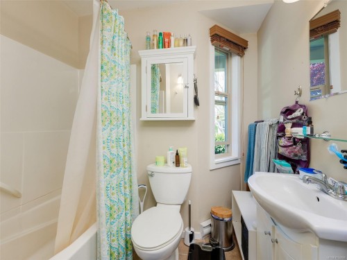 355 Richmond Ave, Victoria, BC - Indoor Photo Showing Bathroom