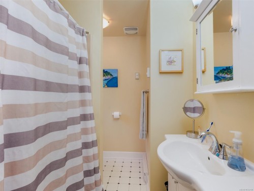 355 Richmond Ave, Victoria, BC - Indoor Photo Showing Bathroom