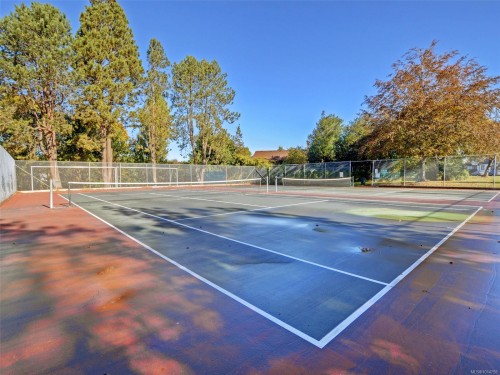 355 Richmond Ave, Victoria, BC - Outdoor With View