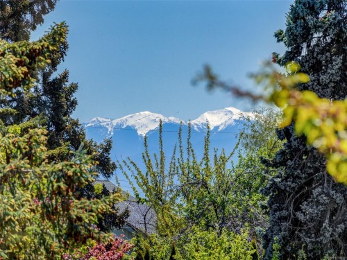 355 Richmond Ave, Victoria, BC - Outdoor With View