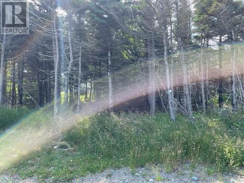 13 Queen Street, Stephenville Crossing, NL 