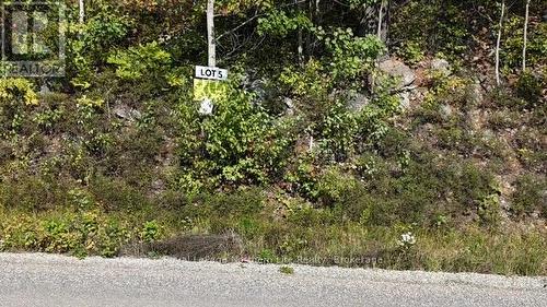 Lot 5 Fox Run Drive, Temagami, ON 